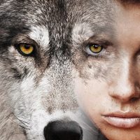 Woman is Wolf to Woman